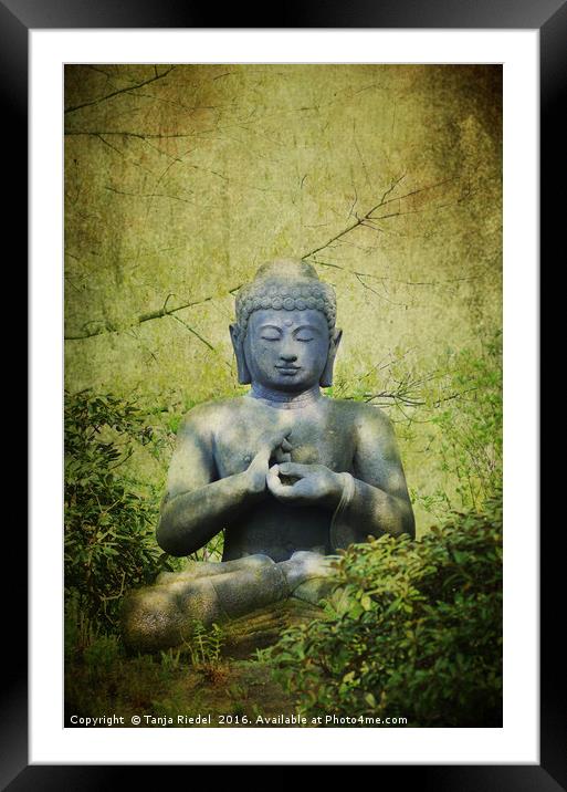 Buddha Impressions Framed Mounted Print by Tanja Riedel