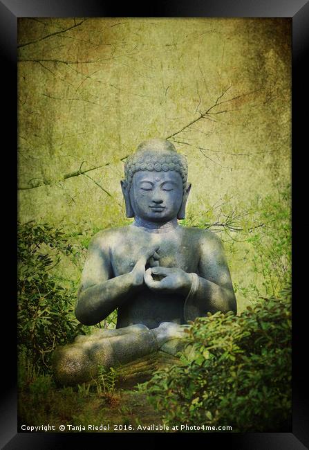 Buddha Impressions Framed Print by Tanja Riedel