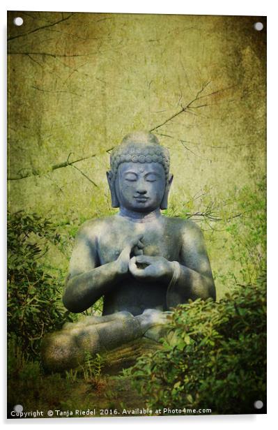 Buddha Impressions Acrylic by Tanja Riedel