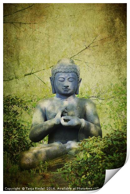 Buddha Impressions Print by Tanja Riedel