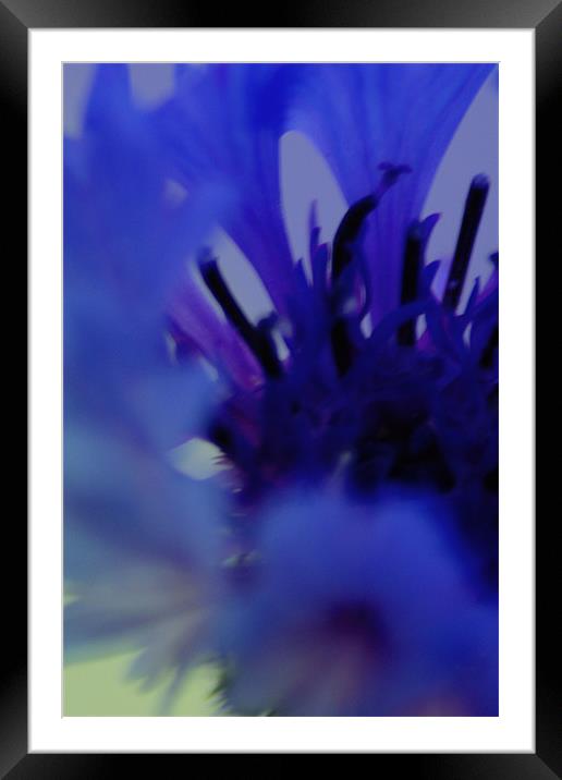 Blue dream Framed Mounted Print by Robert Deaton
