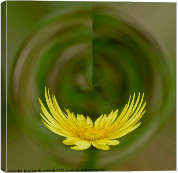 Dandelion with the solar co-ordinates effect   Canvas Print by Jordan Hawksworth