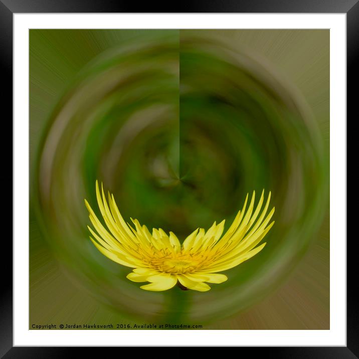 Dandelion with the solar co-ordinates effect   Framed Mounted Print by Jordan Hawksworth