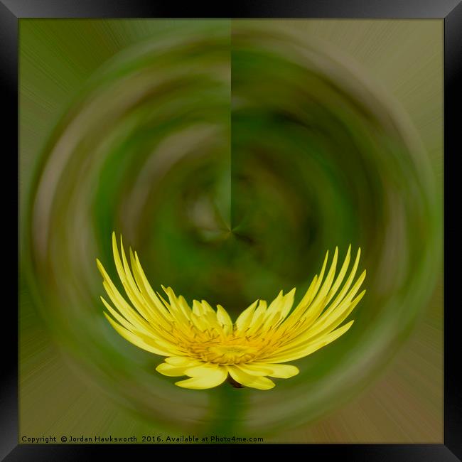Dandelion with the solar co-ordinates effect   Framed Print by Jordan Hawksworth