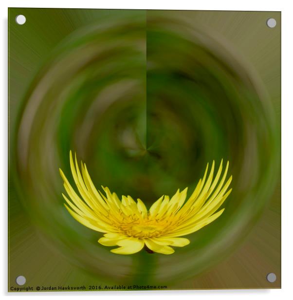 Dandelion with the solar co-ordinates effect   Acrylic by Jordan Hawksworth