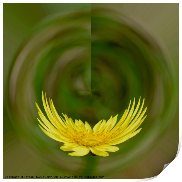Dandelion with the solar co-ordinates effect   Print by Jordan Hawksworth