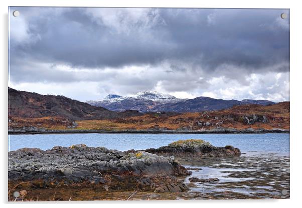 Loch Sunart Ardnamurchan Acrylic by Jacqi Elmslie