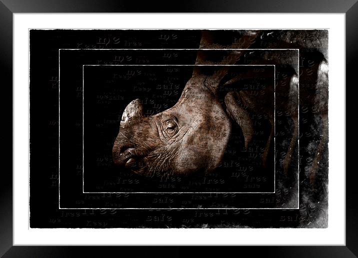 Rhino Protection Framed Mounted Print by Debra Kelday