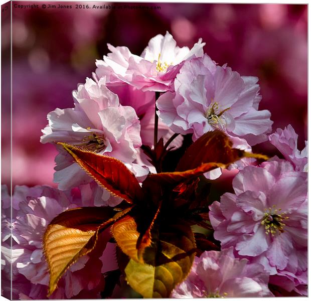 Copper Leaves and Cherry Blossom Canvas Print by Jim Jones