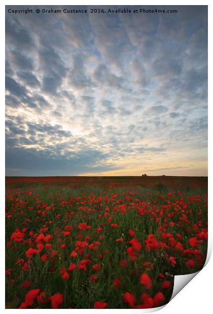 Poppy Field Print by Graham Custance