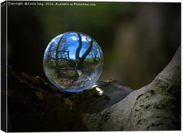 crystal ball in the woods  Canvas Print by kevin long