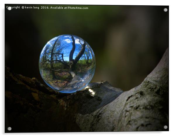 crystal ball in the woods  Acrylic by kevin long