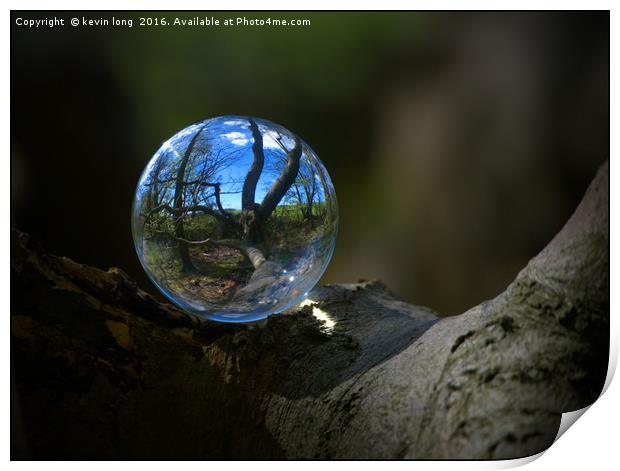 crystal ball in the woods  Print by kevin long