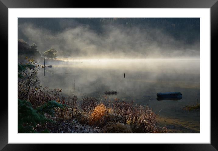 Morning at the lake Framed Mounted Print by barbara walsh