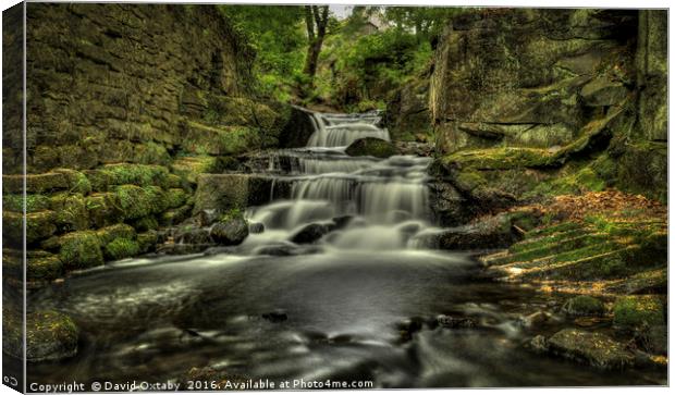 Lumsdale Upper Falls Canvas Print by David Oxtaby  ARPS