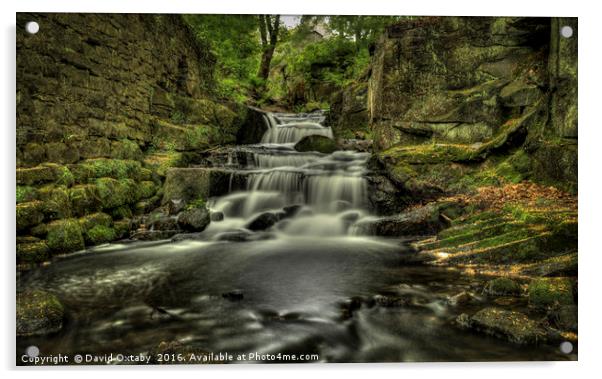 Lumsdale Upper Falls Acrylic by David Oxtaby  ARPS
