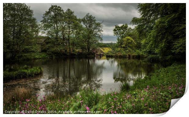 Lumsdale Millpond Print by David Oxtaby  ARPS