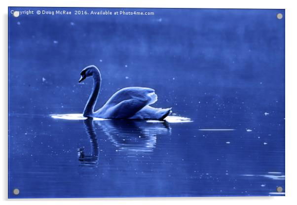 blue swan Acrylic by Doug McRae