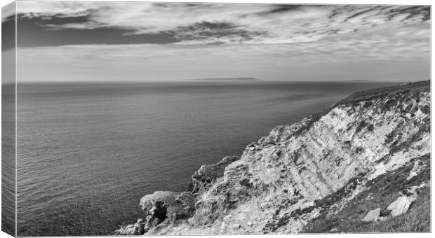 The Fossil Forest.  Canvas Print by Mark Godden