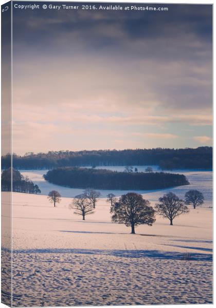 Winter Field and Trees - Colour Canvas Print by Gary Turner