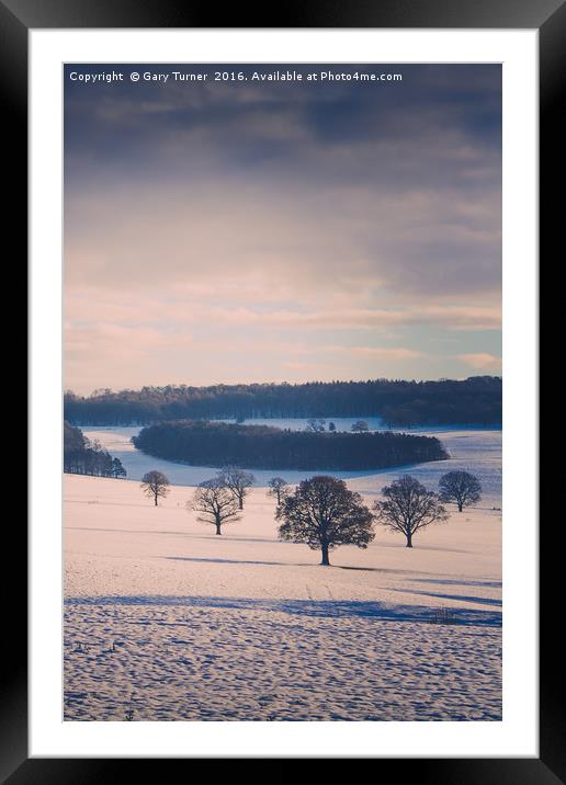 Winter Field and Trees - Colour Framed Mounted Print by Gary Turner