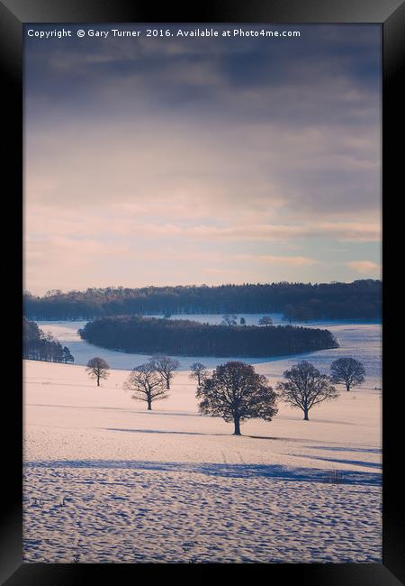 Winter Field and Trees - Colour Framed Print by Gary Turner