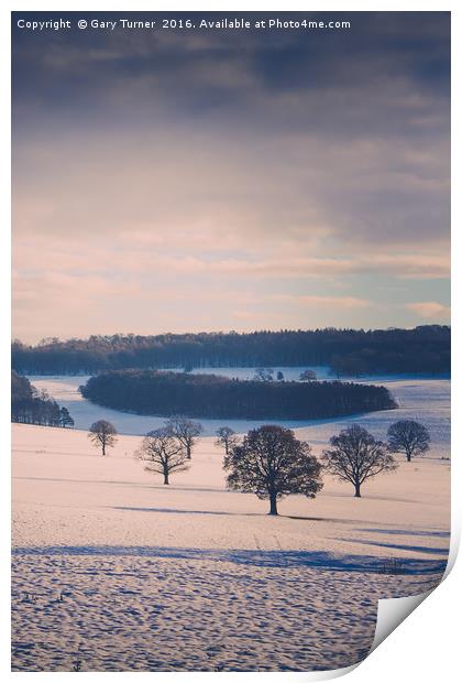 Winter Field and Trees - Colour Print by Gary Turner