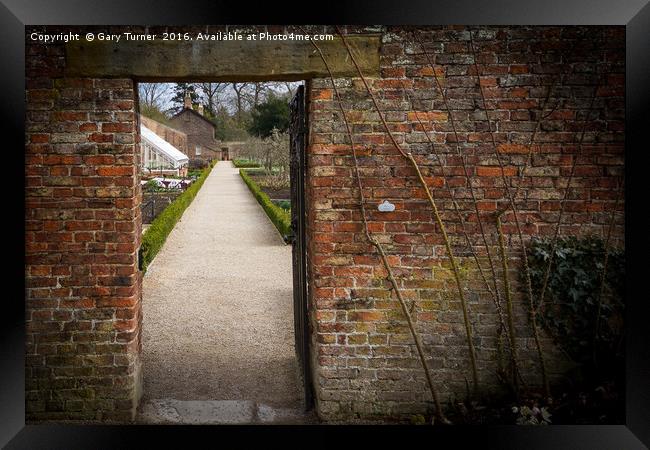 Into the Garden - Colour Framed Print by Gary Turner