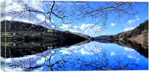 Lady bower Reservoir Canvas Print by Nick Wardekker