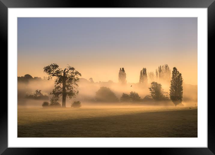 Misty Morning Framed Mounted Print by Mick Sadler ARPS