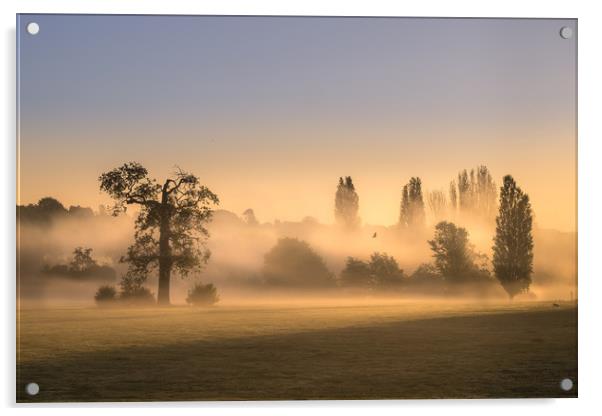 Misty Morning Acrylic by Mick Sadler ARPS