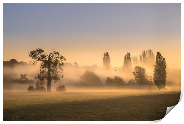 Misty Morning Print by Mick Sadler ARPS