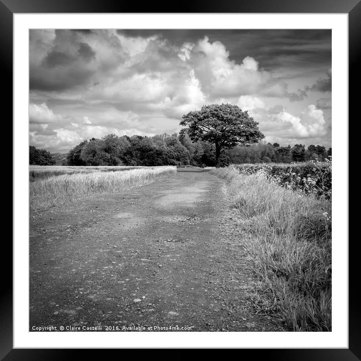 The long and (not so) winding road - black and whi Framed Mounted Print by Claire Castelli