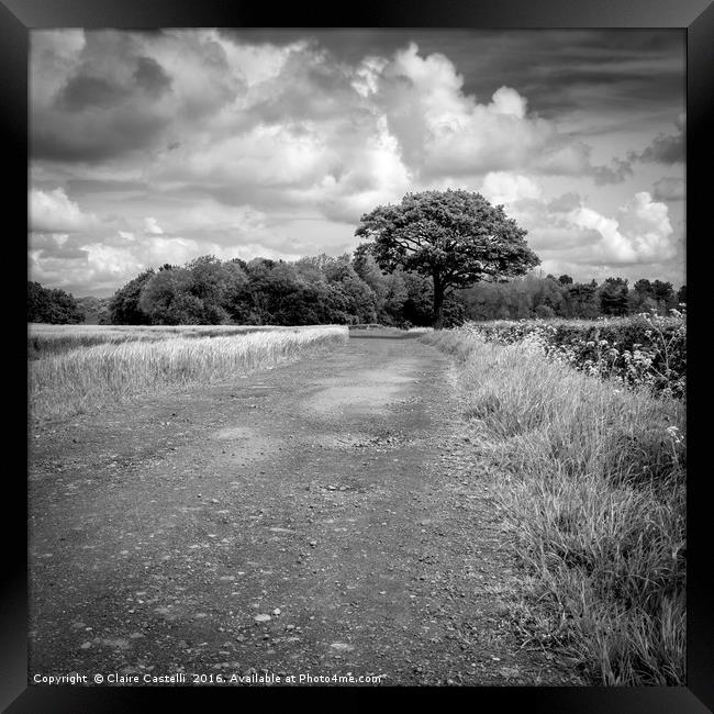 The long and (not so) winding road - black and whi Framed Print by Claire Castelli