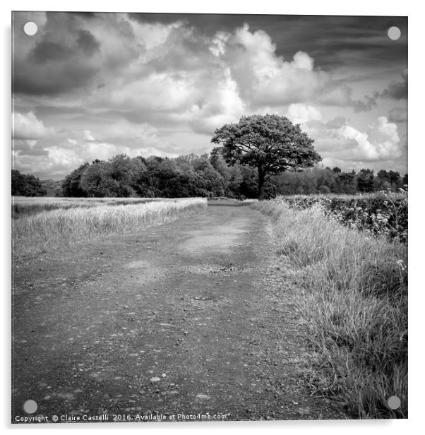 The long and (not so) winding road - black and whi Acrylic by Claire Castelli