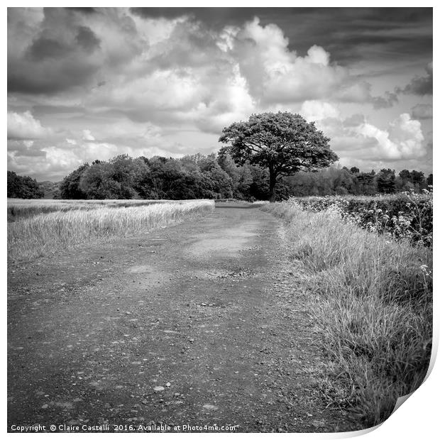 The long and (not so) winding road - black and whi Print by Claire Castelli