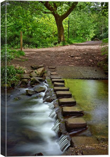 Porter Brook Stepping Stones & Falls               Canvas Print by Darren Galpin