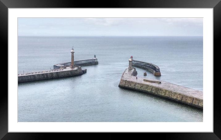 Whitby Harbour Framed Mounted Print by Dave Leason