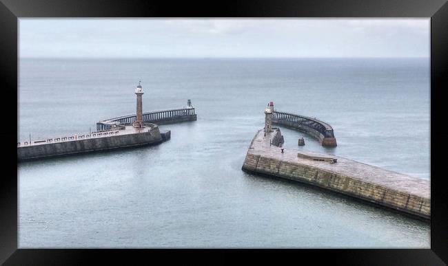 Whitby Harbour Framed Print by Dave Leason