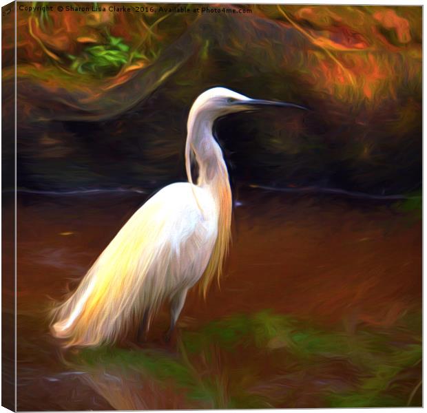 Egret painting Canvas Print by Sharon Lisa Clarke