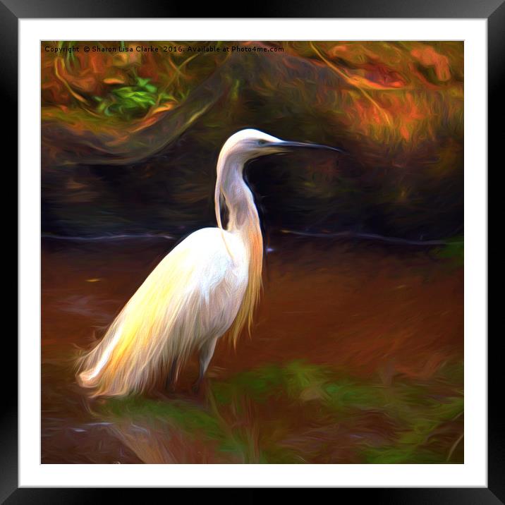 Egret painting Framed Mounted Print by Sharon Lisa Clarke