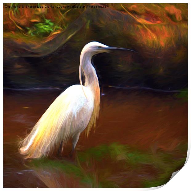 Egret painting Print by Sharon Lisa Clarke