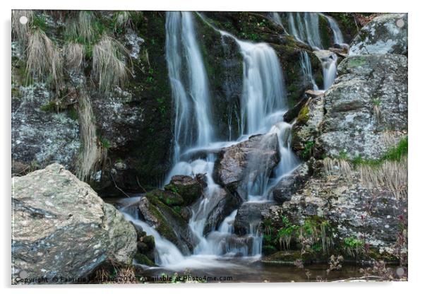 Mountain River Waterfall  Acrylic by Fabrizio Malisan