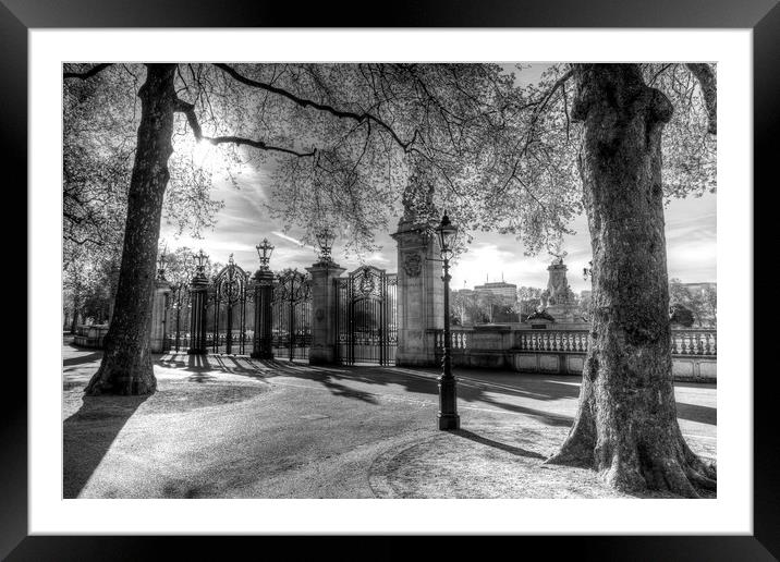 Canada Gate Green Park London Framed Mounted Print by David Pyatt