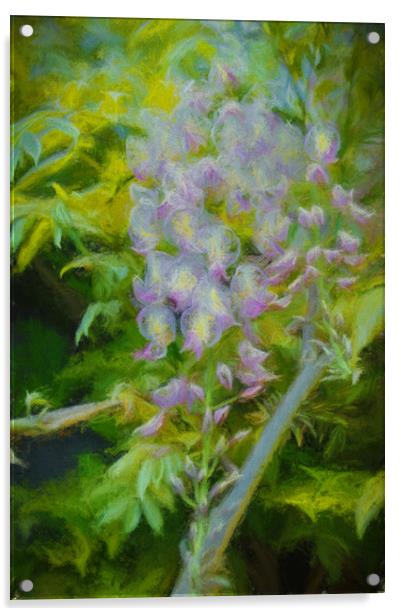 wisteria  Acrylic by sue davies