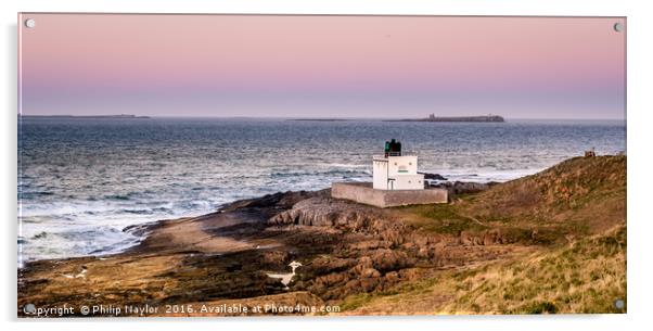 The Bamburgh Lighthouse........... Acrylic by Naylor's Photography