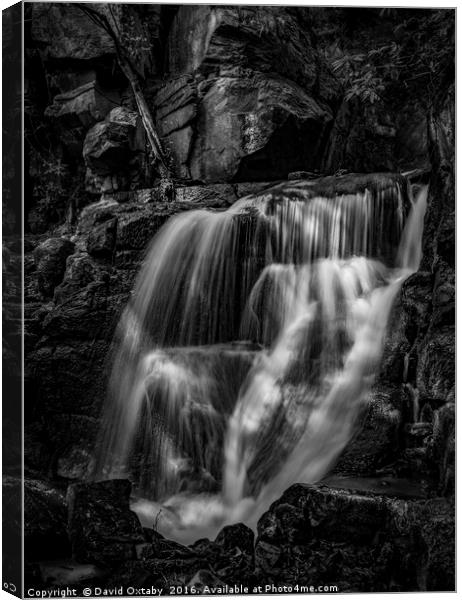 Waterfall Mono Canvas Print by David Oxtaby  ARPS