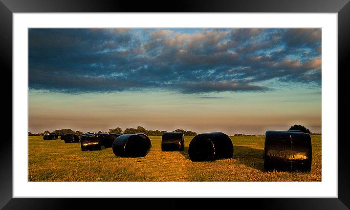 Round Bales Framed Mounted Print by Rob Hawkins