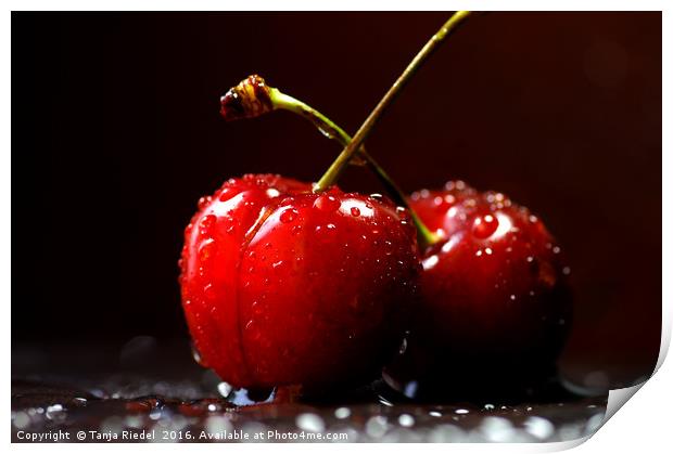 Cherries Love Print by Tanja Riedel