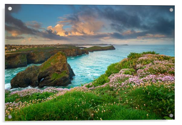 Sea thrift at Newquay Acrylic by Michael Brookes